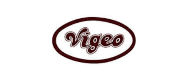 Vigeo Ltd. logo